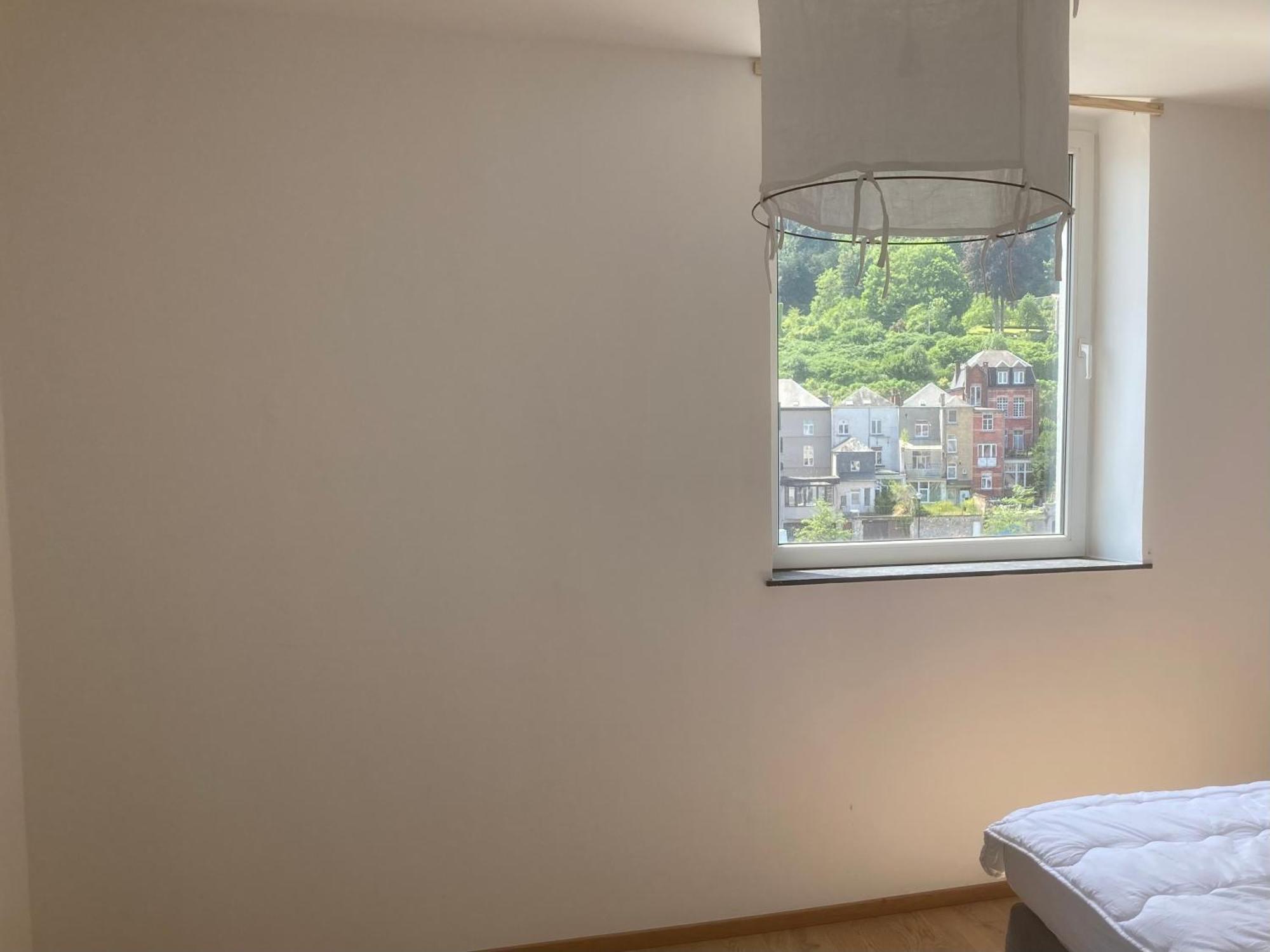 Les Terrasses De Sax Bed & Breakfast Динант Екстериор снимка